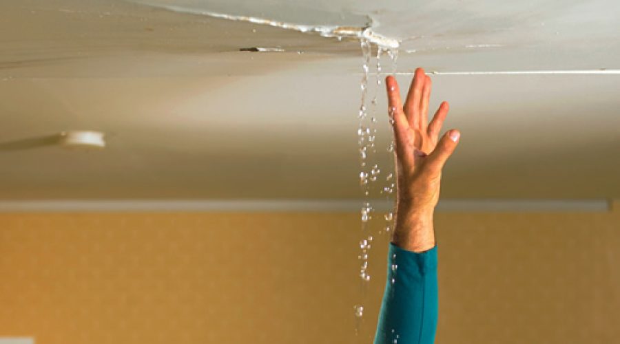 What are the signs your business has water damage?