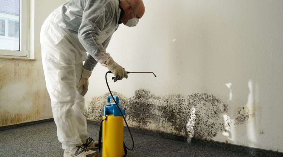 Does my home have mold?