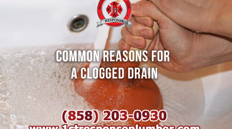 Causes Of Drain Clogs in Chula Vista