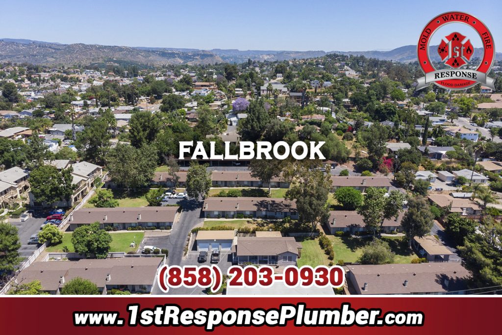 Plumbers In Fallbrook San Diego