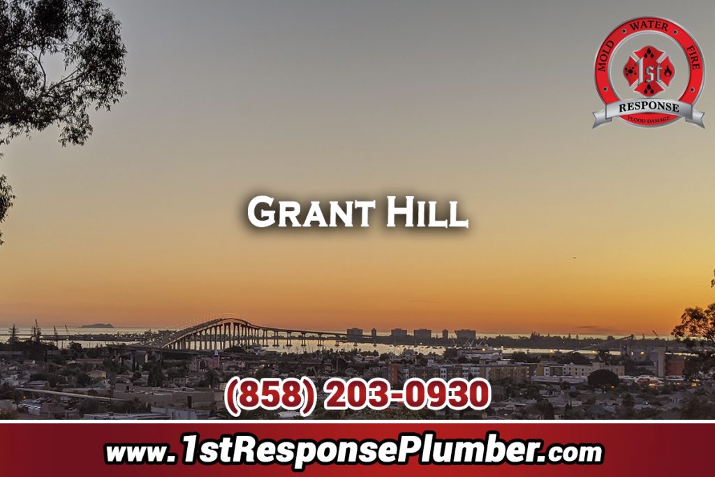 Best Plumbers Grant Hill San Diego;