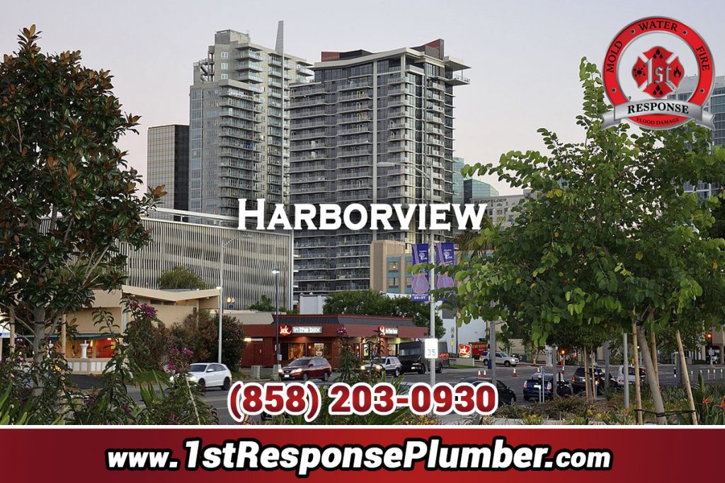 Best Plumbers In Harborview San Diego
