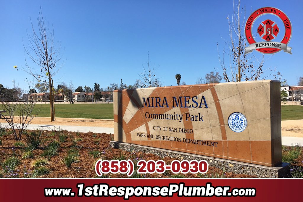 Best Plumbers Mira Mesa San Diego