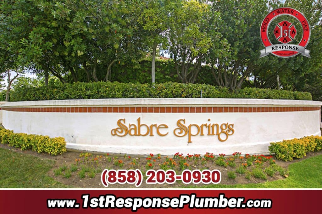 Plumbing Repair San Diego