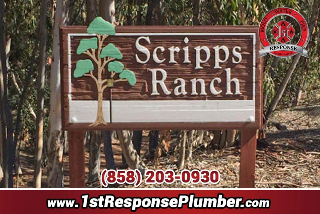 Plumbers In Scripps Ranch San Diego;