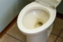 Know The Reasons Your Toilet Smells And How To Eliminate Them In San Diego