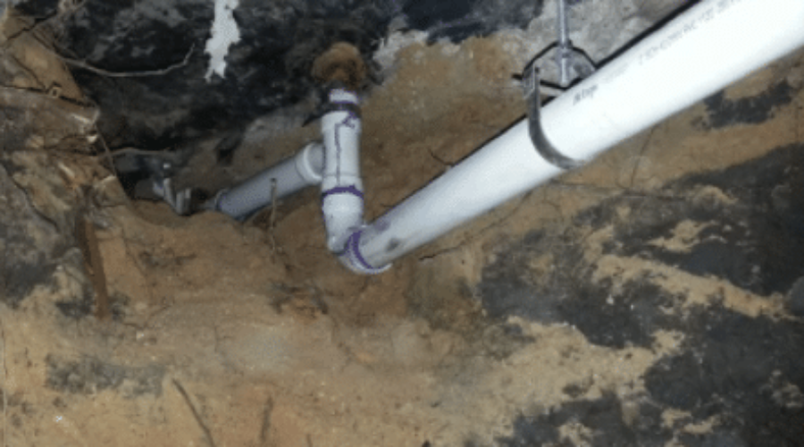 ▷Ways To Fix Sewer Leak In Your Yard In San Diego
